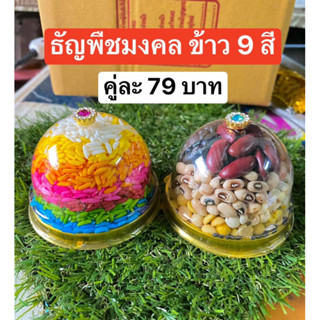 New 🎉🎉ข้าวมงคล 9 สี ธัญพืช 9 ชนิด ไหว้บูชา แม่สาริกา พระพิฆเนศ องค์เทพ บูชา ข้าวธัญพืช ของบูชาพระ