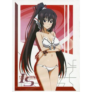 Bushiroad Sleeve HG Infinite Stratos [Shinonono Houki] Swimsuit Ver.