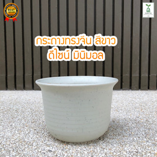 กระถางปลูกแคคตัส กระถางทรงจีนอ้วน พลาสติกเนื้อหนา ขนาด 5,6นิ้ว