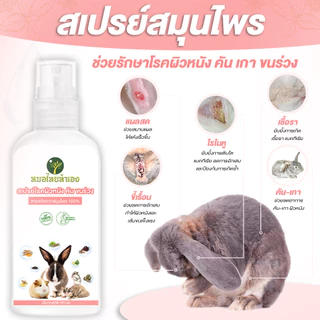 สเปรย์บรรเทาโรคผิวหนัง สเปรย์กระต่าย ขี้เรื้อน เชื้อรา ไร คันเกา กระรอก ชูก้า แกสปี้ 100 ml สมุนไพร หมอไทยทำเอง