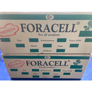โฟมปักดอกไม้สด โอเอซิสปักดอกไม้สด สำหรับปักดอกไม้สด ตราฟลอร่าForacell 1 ลังมี 20 ก้อน (แบบสด)