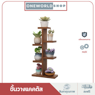 Oneworldshop ชั้นไม้วางกระบองเพชร วางแคคตัส วางโมเดล วางต้นไม้ วางกระถาง CT-003