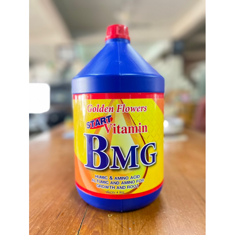 วิตามิน บี1 BMG แกลลอน 4ลิตร เร่งราก คลุกเมล็ด ตอนกิ่ง ปักชำ แกลลอนฝาแดง น้ำส้ม