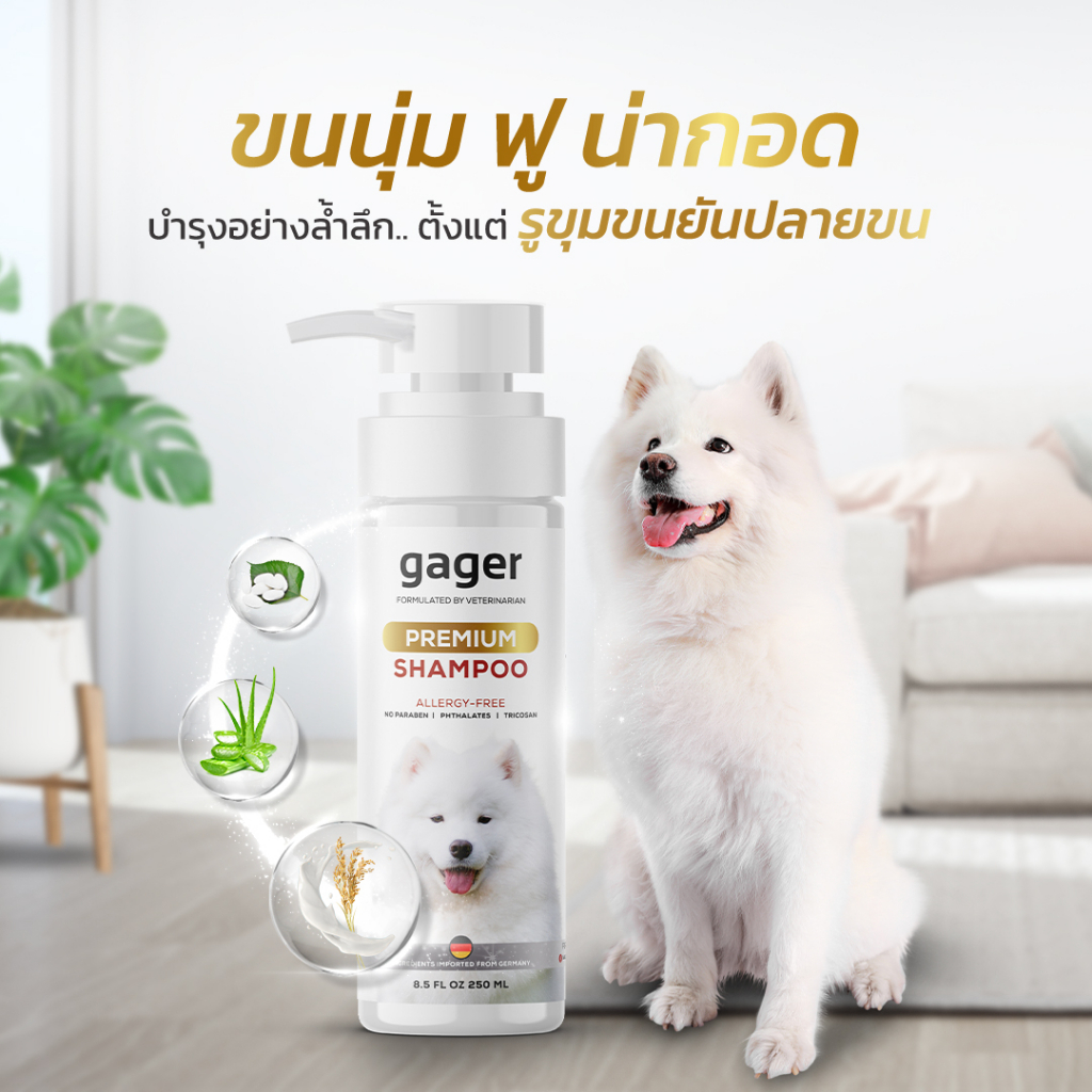 Gager (กาเจอร์) แชมพูอาบน้ำสุนัข แชมพูอาบน้ำหมาสูตรบำรุงขนนุ่ม สกัดจากน้ำนมข้าว อ่อนโยน คุณภาพนำเข้า