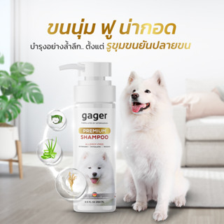 Gager (กาเจอร์) แชมพูอาบน้ำสุนัข แชมพูอาบน้ำหมาสูตรบำรุงขนนุ่ม สกัดจากน้ำนมข้าว อ่อนโยน คุณภาพนำเข้าจากเยอร (มีตัวเลือก)