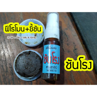 (ชันโรง) ฟีโรโมนฉีดล่อชันโรง มัดรวมกับขี้ชันโรง สำหรับล่อชัน…