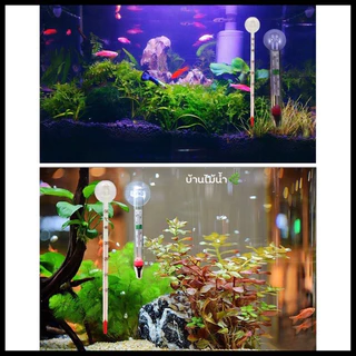 เทอร์โมมิเตอร์ Thermometer ตู้ปลา ตู้ไม้น้ำ เทอร์โมมิเตอร์ติดกระจก เทอร์โมมิเตอร์แขวน | บ้านไม้น้ำ🌿