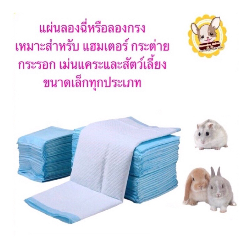 พร้อมส่ง แผ่นซับฉี่หรือลองกรงเหมาะกับสัตว์เลี้ยงขนาดเล็ก