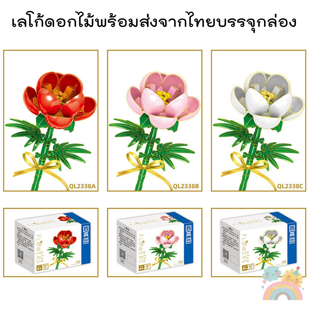 รูปภาพ 7