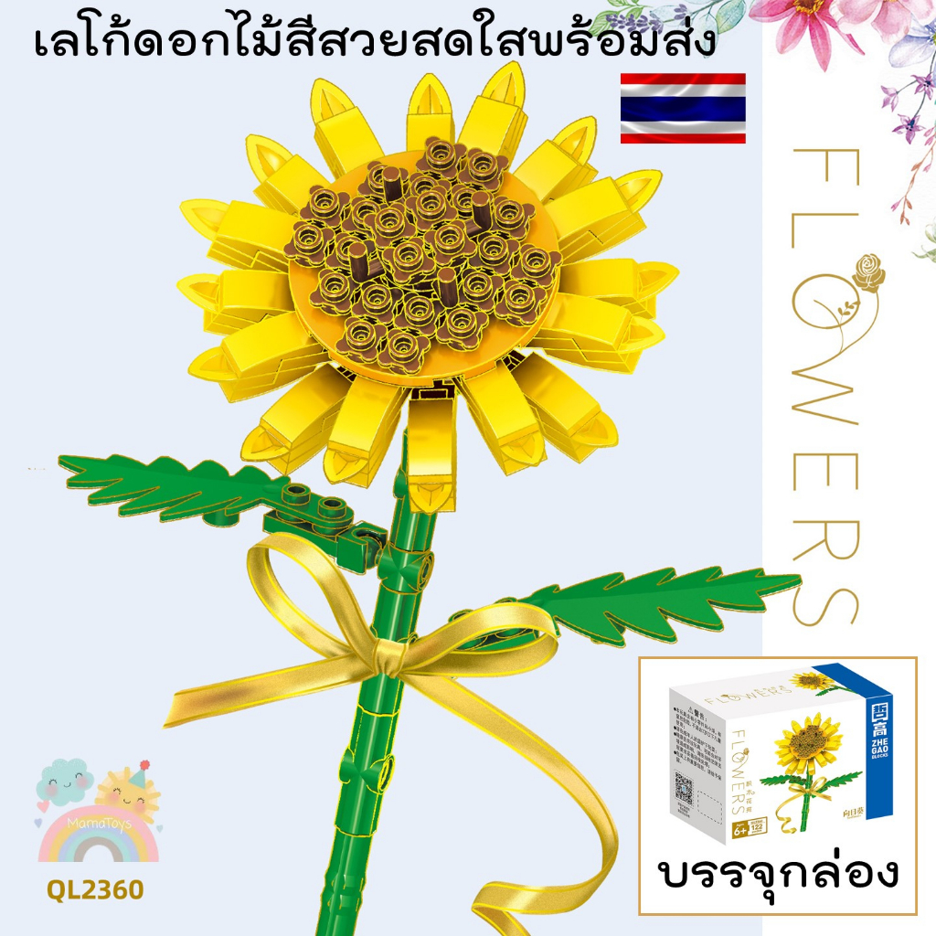 รูปภาพ 5