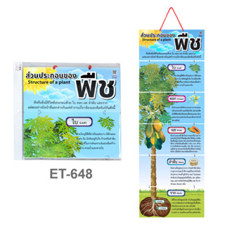 สื่อการสอนแบบแขวน ส่วนประกอบของพืช ET-648 สื่อการเรียนรู้ สื่อการเรียนการสอน (จำนวน 1 แผ่น)