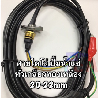 สายไดโว่ ,ปั้มน้ำแช่ จีน ขนาด3x0.5 ยาว 5.00เมตร หัวเกลียวทองเหลือง โต20-22มิล ,ฝาครอบ วงรี สแตนเลส ระยะห่างรูยึด 35 มิล