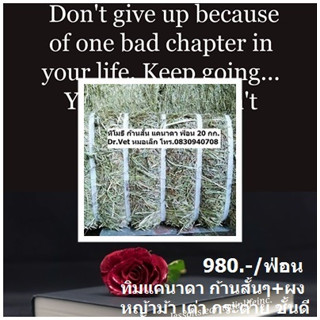 ทิโมธี แคนาดา หญ้าแบบฟ่อน