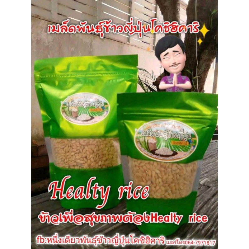 Healthy rice เมล็ดพันธุ์ข้าวญี่ปุ่นพันธุ์โคชิฮิคาริคัดอย่างดี