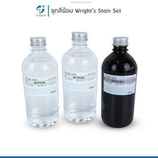 ชุดสีย้อม Wright’s Stain Set (3x450ml)