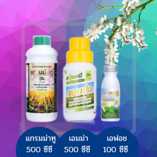 เอฟอช 100ซีซี + แกรมม่าทู 500ซีซี + เอมม่า 500ซีซี ชุดสุดคุ้มเร่งการเจริญเติบโตป้องกันและกำจัดเชื้อรา