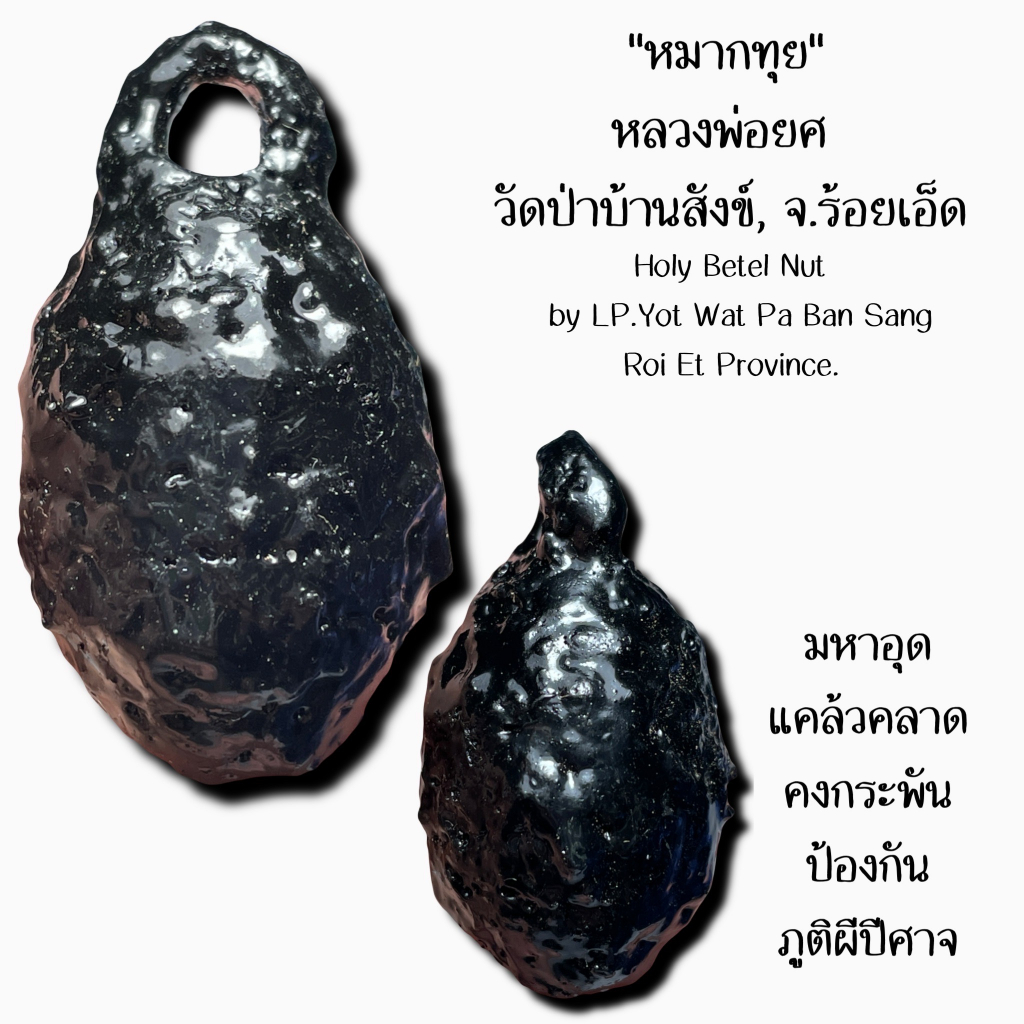 หมากทุย, หลวงพ่อยศ วัดป่าบ้านสังข์, จ.ร้อยเอ็ด Holy Betel Nut by LP.Yot Wat Pa Ban Sang, Roi Et Prov