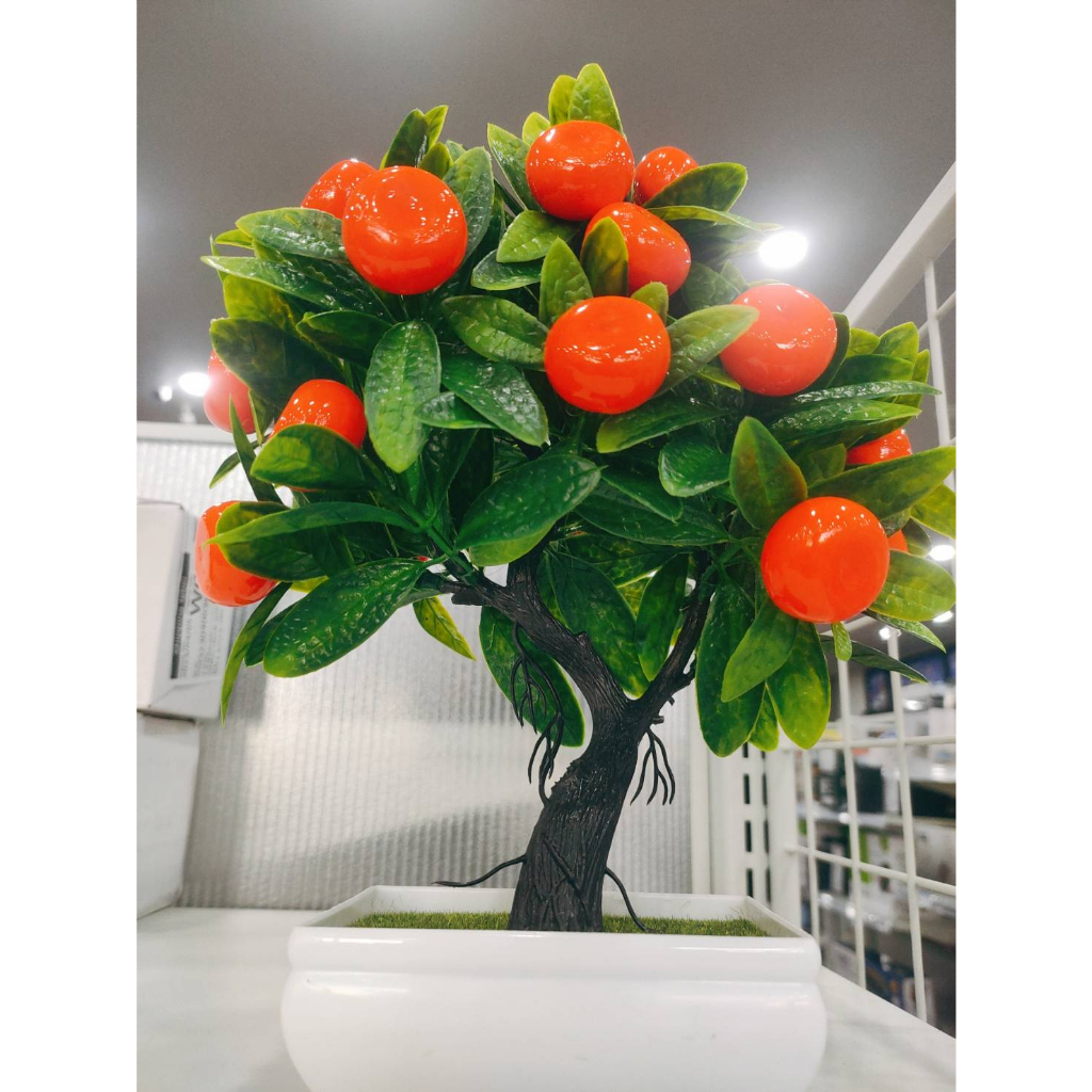 ต้นส้มจิ๋วปลอม พิมาน สีส้ม 25 ซม.