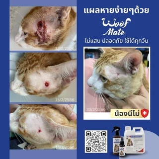 ส่งไว🔥สเปรย์ที่สัตวแพทย์แนะนำ#WoofMate เป็นสเปรย์ฆ่าเชื้อบนผิวหนังสัตว์เลี้ยง ใช้กับสัตว์เลี้ยงลูกด้วยนม🐈มี2ขนาด
