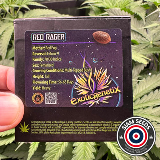 เมล็ดกัญชา Exotic Genetix Red Rager Fem Cannabis Seeds (Pack of 6)