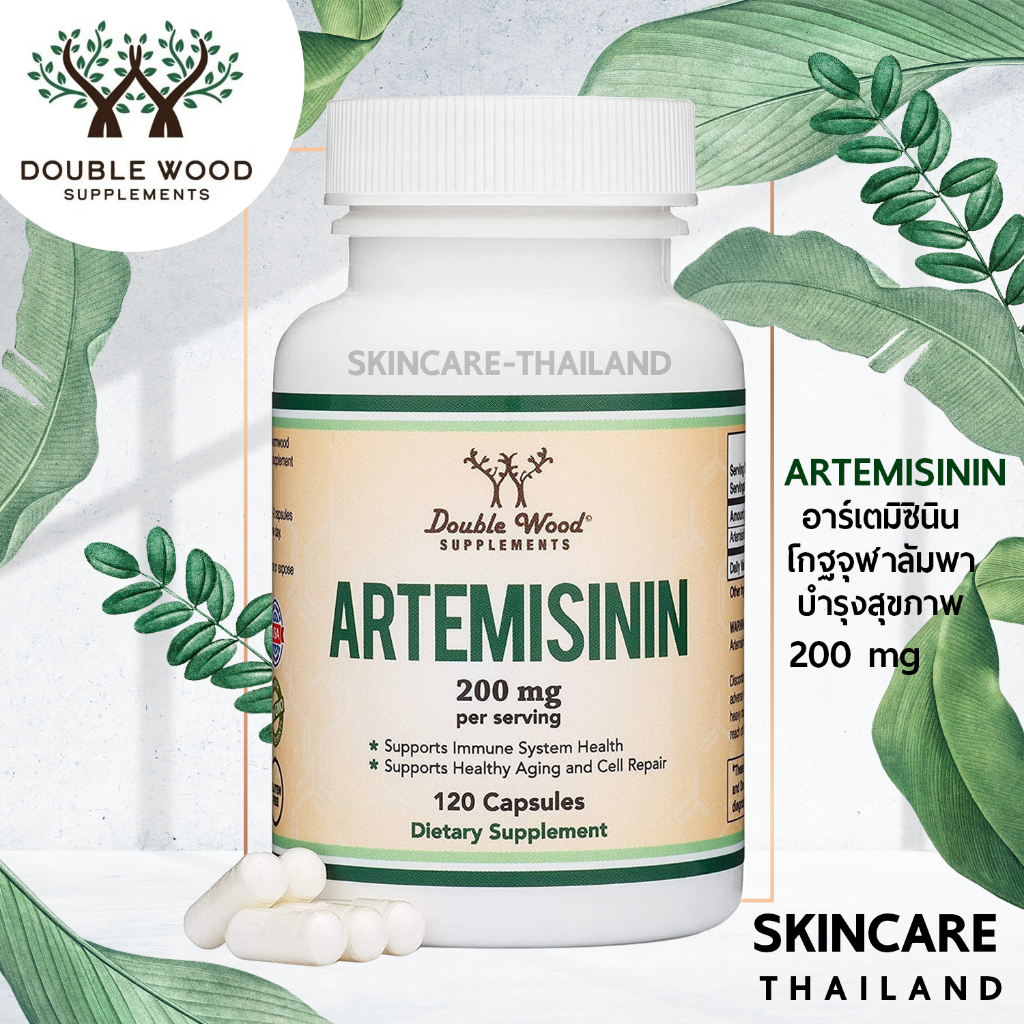 Artemisinin 200 mg-Double Wood  120 Capsules 📌 exp.04/26 📌 เสริมสร้างภูมิคุ้มกัน วิตามินบำรุงร่างกาย