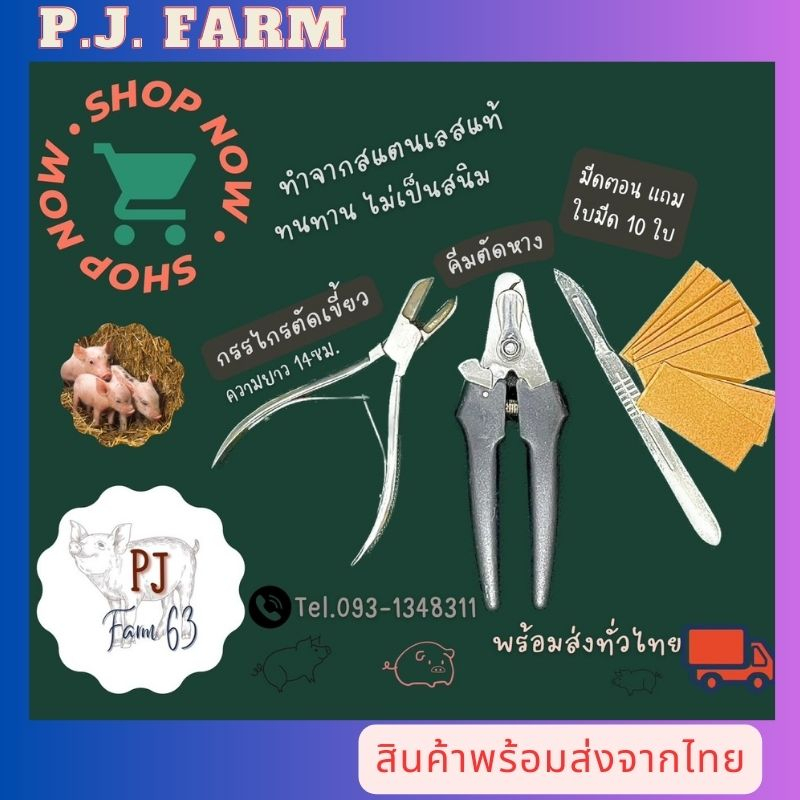 สินค้าพร้อมส่ง ชุดอุปกรณ์ทำคลอดหมูแรกเกิด