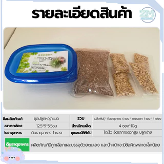 ข้าวสาลีแมว หญ้าแมว ชุดปลูกข้าวสาลี 40กรัม เสริมสร้างภูมิคุ้มกัน ลดกลิ่นมูลสัตว์เลี้ยง