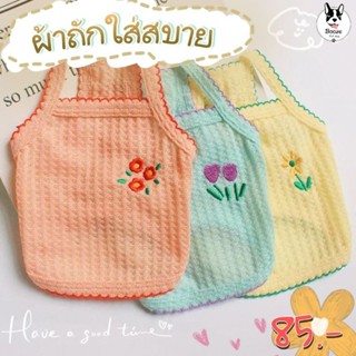 🇹🇭ร้านไทย❤️ เสื้อสุนัข เสื้อแมว เสื้อสัตว์เลี้ยง สายเดี่ยวผ้…