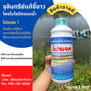 จุลินทรีย์โพรไบโอติกชนิดน้ำ ป้องกัน และ แก้ขี้ขาวในกุ้งขาว PROJECT1 ลดเชื้อในลำไส้กุ้ง