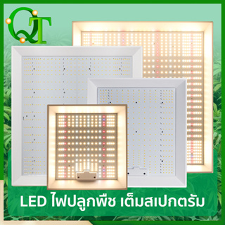 【พร้อมส่ง】ไฟปลูกต้นไม้  100W 150W 300W 450W  grow light  สำหรับการเจริญเติบโตของผัก ผลไม้ และต้นไม้