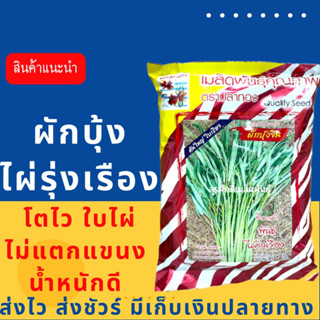 (ของแท้ ส่งไว) ผักบุ้งจีนไผ่รุ่งเรือง ตราปลาทอง 1 กิโล