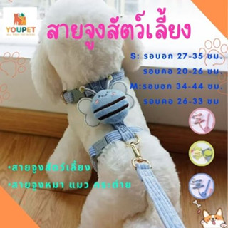 สายจูงสัตว์เลี้ยง สายจูง สายจูงแมวรัดอก สายจูงน่ารัก สายจูงกระต่าย สายจูงหมา สำหรับสัตว์เลี้ยง สุนัข กระต่าย ขนาดเล็ก เส