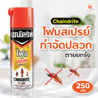 Chaindrite เชนไดร้ท์ โฟม สเปรย์ กำจัดปลวก ตายยกรัง 250 กรัม