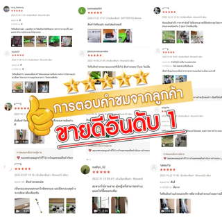 PINSEN เครื่องตัดหญ้า เครื่องตัดหญ้าไฟฟ้า ตัดหญ้า กิ่งไม้ อุปกรณ์ครบชุด พร้อมแบตเตอรี่ ง่ายต่อการพกพา มอเตอร์พลังงานสูง