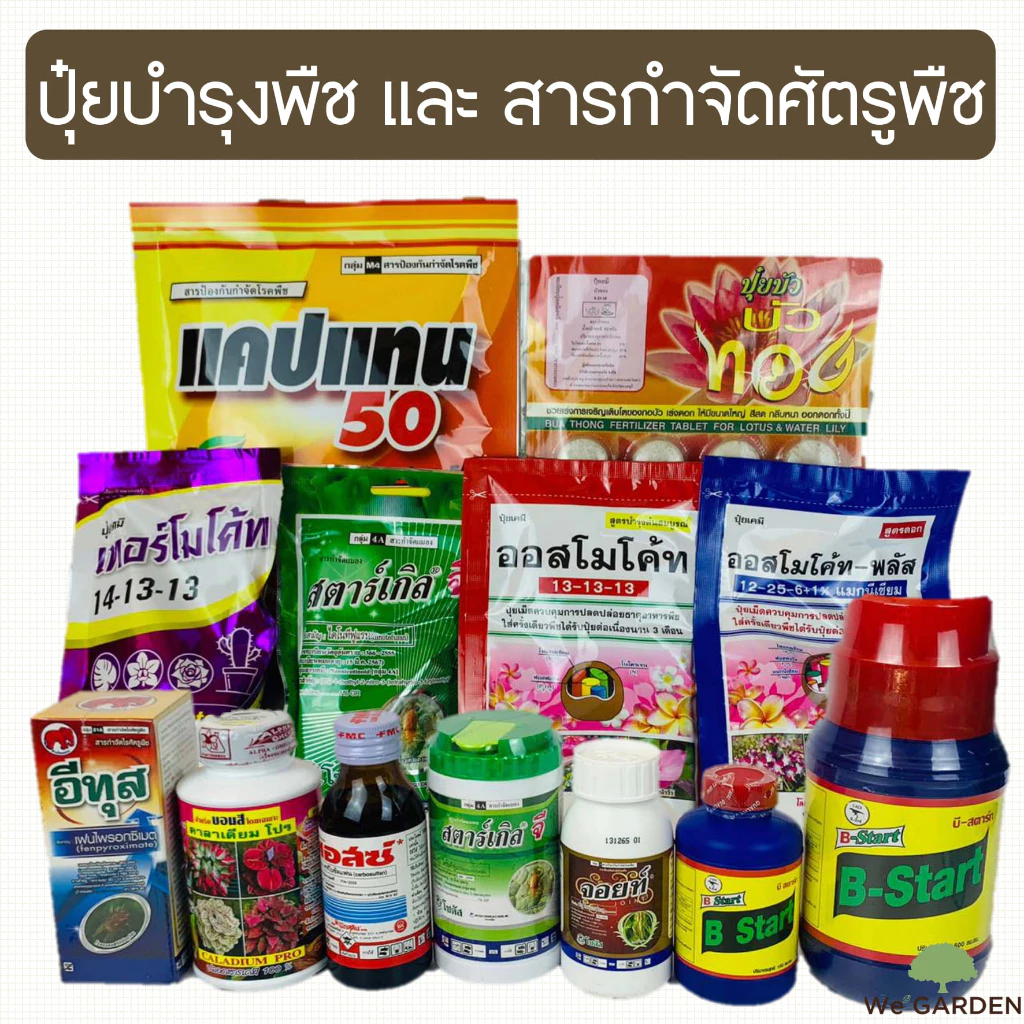 New✨ปุ๋ยออสโมโค้ท เทอร์โมโค้ท สตาร์เกิลจี แคปแทน ปุ๋ยบัว น้ำยาเร่งราก B1 คาลาเดียมโปร ไตรโคเดอร์มา พอสซ์ จอยท์ อีทุส