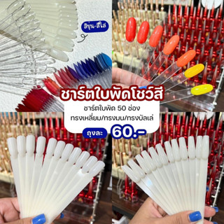 ชาร์ตโชว์สี ชาร์ตก้านสำหรับโชว์สียาทาเล็บ