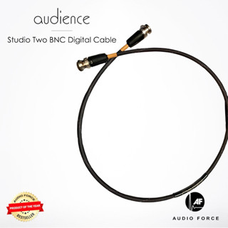 Audience StudioTwo BNC 1 M Red Black