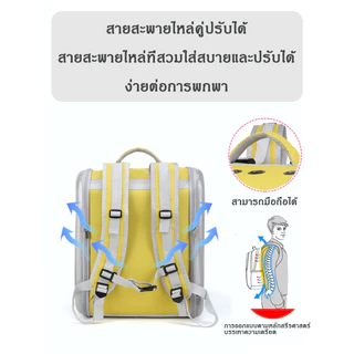 กระเป๋าแมว กระเป๋าเป้สัตว์เลี้ยง สามารถพับเก็บได้ อากาศได้ ความจุขนาดใหญ่โปร่งใส PET CARRIER