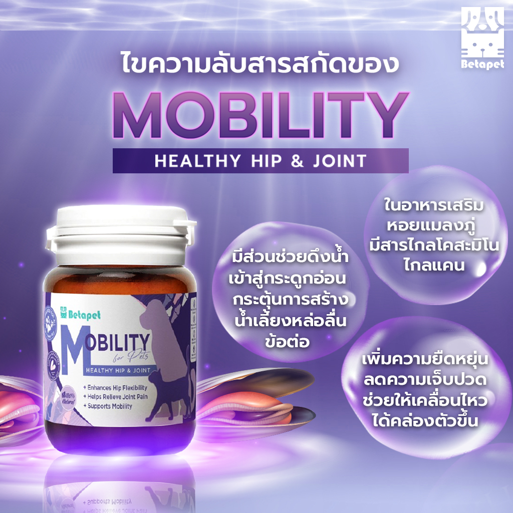 BETAPET อาหารเสริมบำรุงข้อสำหรับสุนัขและแมว ลดความเจ็บปวดในการลุก เดิน นั่ง ขาอ่อนแรง รูปที่ 5