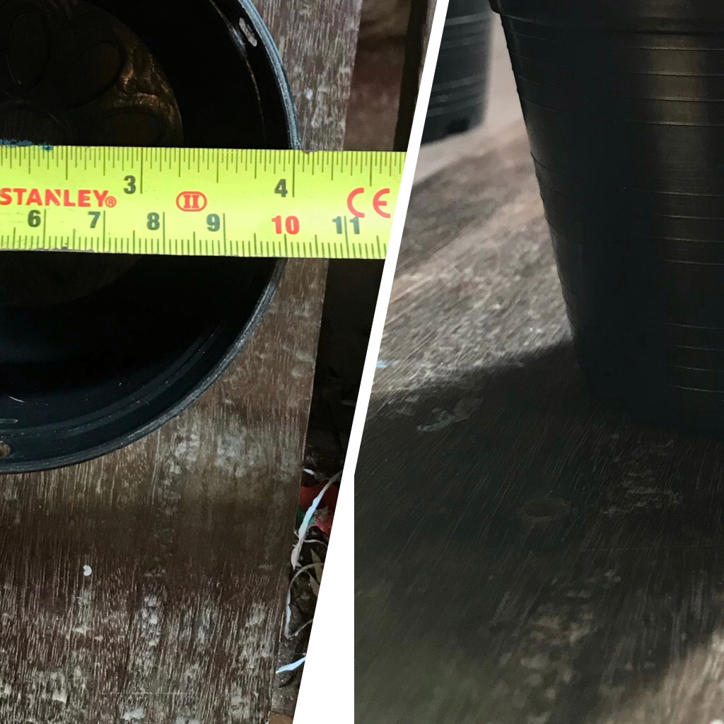 A02 กระถางแคตัส  ต้นไม้ ชุดละ 25 / 50 ใบ มีหลายขนาดหลายสีให้เลือก ราคาถูก โรงงานผลิตเอง - รูปที่ 2