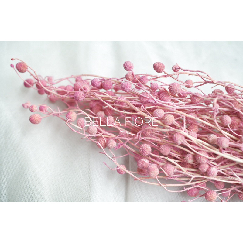 ดอกไม้แห้ง ดอกสาคูทิพย์ พร้อมส่งจากกทม เลยค่ะ ราคากำละ 85 บาท มีให้เลือกหลายสีนะคะ - รูปที่ 3