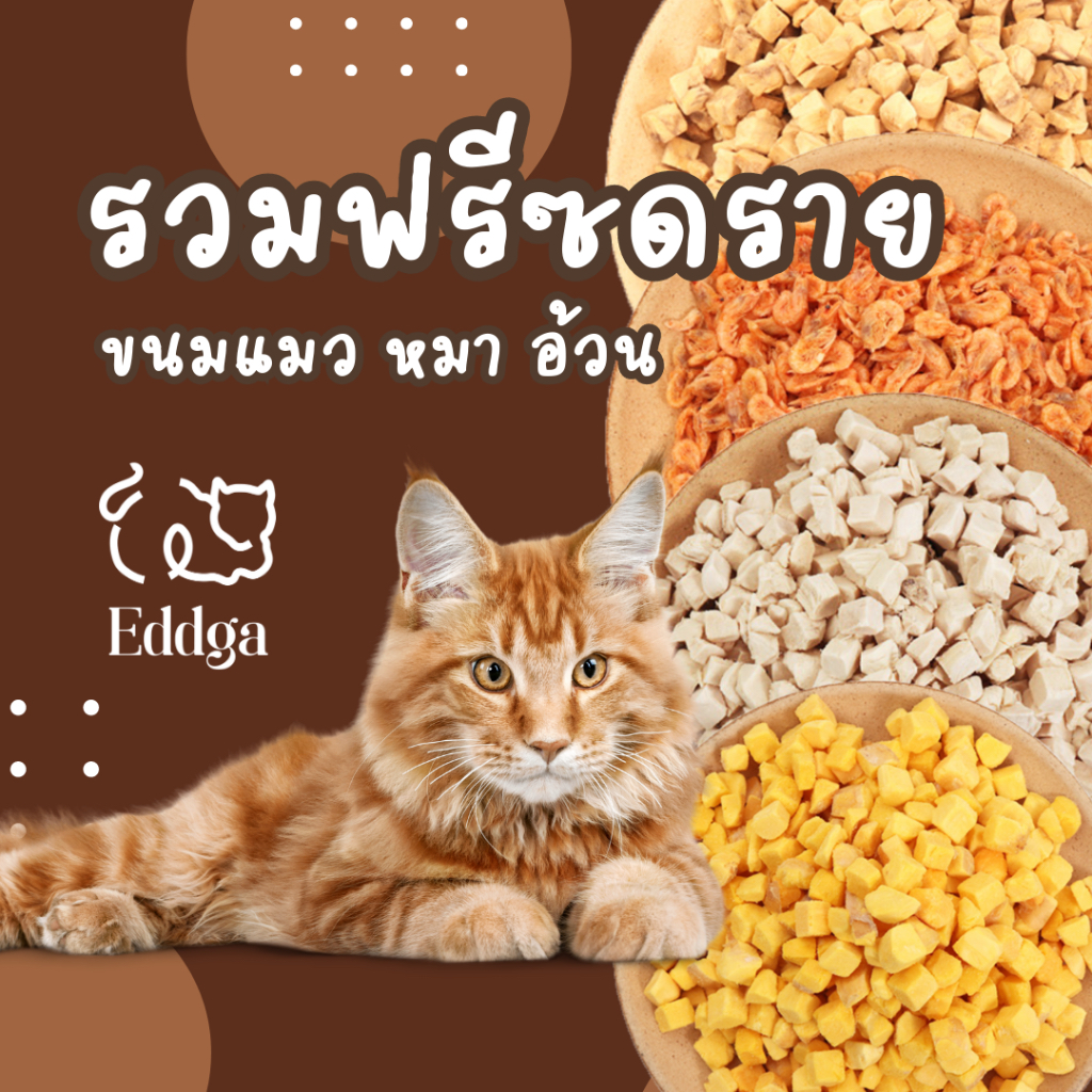ขนมแมวฟรีซดราย ขนมหมาฟรีซดราย อบแห้ง ฟรีซดราย รวมรส ขนมแมว ขนมสุนัข เต่า ปลา โปรตีนสูง freeze dried pet treat