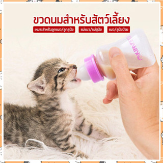 I&amp;CAT ขวดนมลูกแมว ขวดนมพลาสติก ขวดนมลูกแมวแรกเกิด ขวดนมพร้อมอุปกรณ์ทำความสะอาด