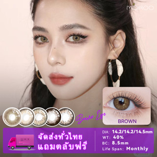 Midroo สีน้ำตาลโทนสว่าง สียอดฮิต Brown Eye คอนแทคเลนส์สี-14.0mm/ 14.2mm/ 14.5mm