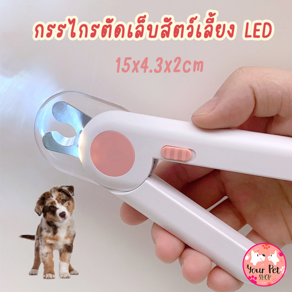 #กรรไกรตัดเล็บสัตว์เลี้ยง #กรรไกรตัดเล็บที่มีไฟLED #ของใช้สัตว์เลี้ยง #เพ็ทช็อป #อุปกรณ์สัตว์เลี้ยง