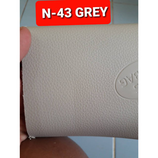 สีพ่นพลาสติกคอนโซลรถ N-43 GREY