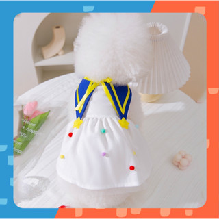 [🚚 พร้อมส่ง] ชุดกระโปรงแมว Little Star Pet Dress ชุดหมา ชุดสุนัข ชุดแมวน่ารัก ชุดแมว