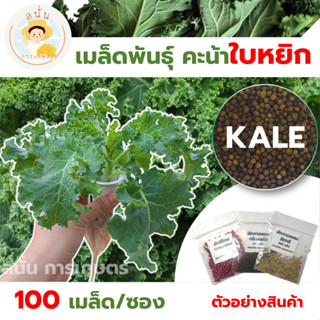 *ส่งด่วน* เมล็ดพันธุ์ คะน้าใบหยิก Kale คะน้า เคล คะน้าใบหงิก ปลูกผัก สวนครัว เมล็ดผัก เมล็ดพืช ผักสลัด [1 ซอง 100 เมล็ด]