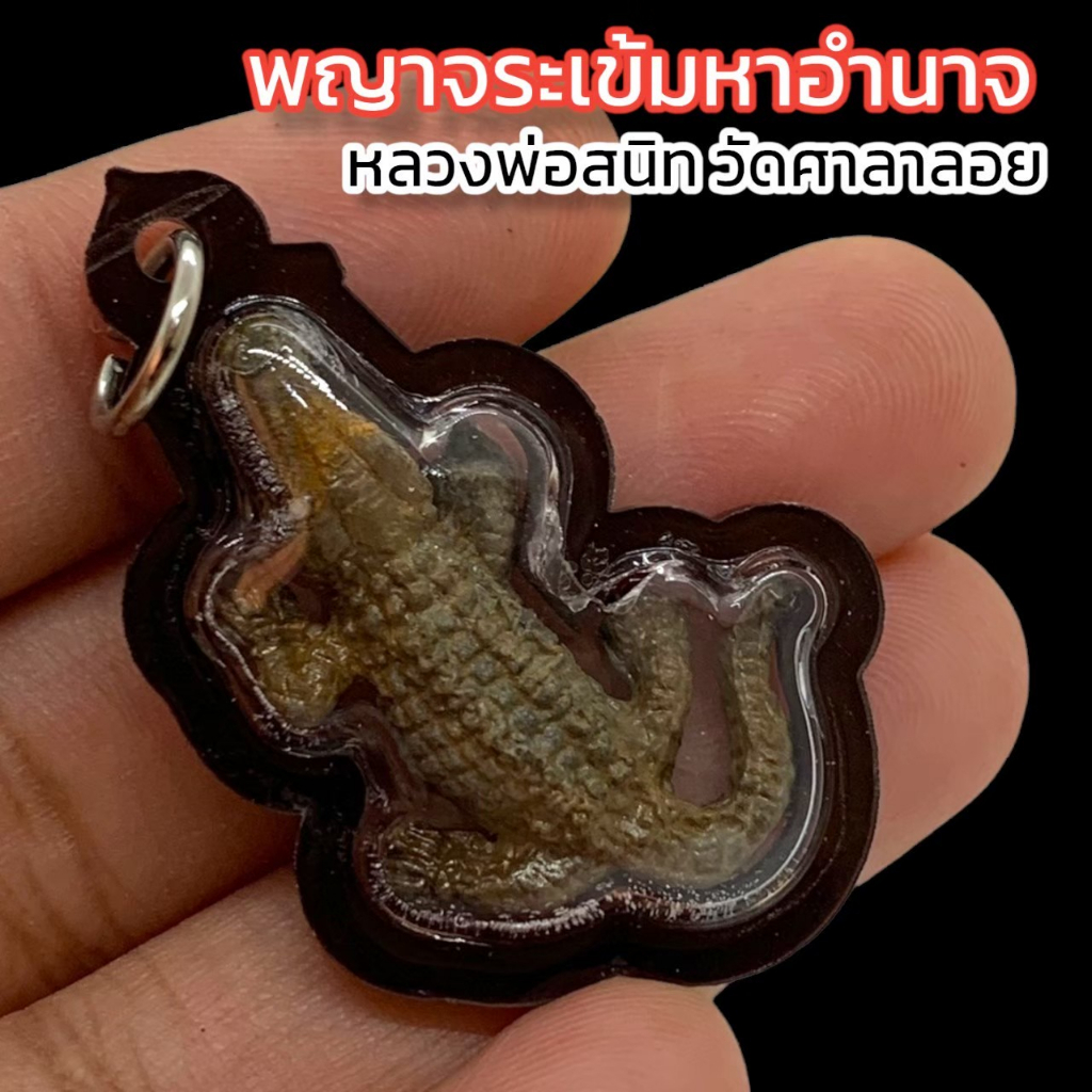 พารวยพญาจระเข้มหาอำนาจ หลวงพ่อสนิท วัดศาลาลอย เลี่ยมกรอบกันน้ำอย่างดี เสริมเสน่ห์เมตตาอำนาจบารมีผู้คนเกรงขาม
