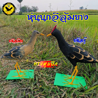 นกอีลุ้มปลอม หุ่นนกอีลุ้มยาง นกไก่นา ตัวผู้ ตัวเมีย ทรงหุบปีก ทำจากยางเหนียวทนทาน ใช้ต่อหรือล่อนกจริงให้เข้ามาติดได้ผลดี